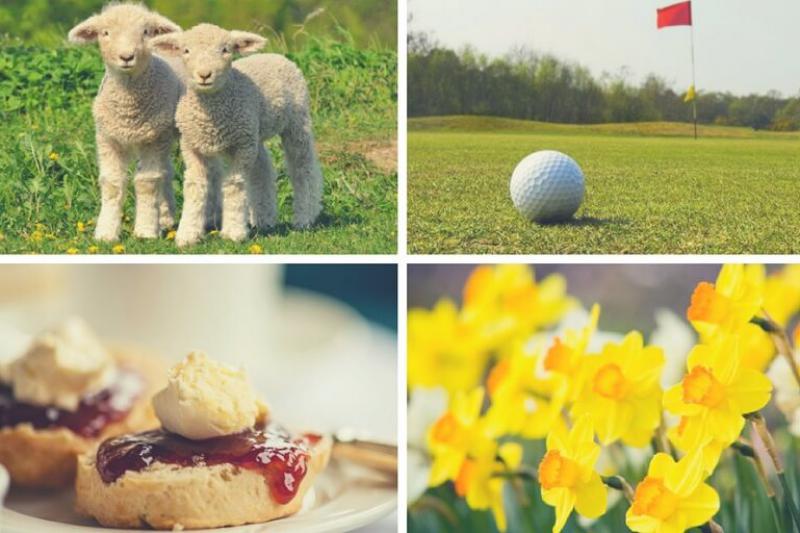 Spring Breaks in South Devon: Top Activities, Events & Offers