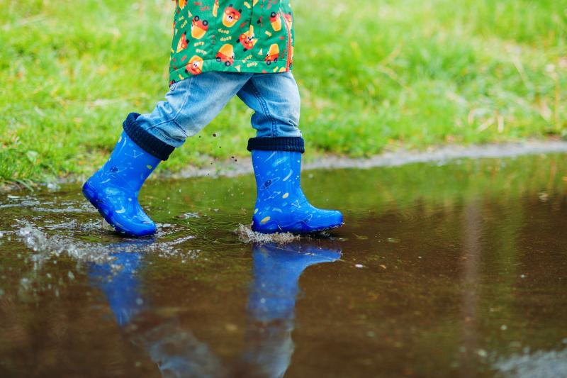 Rainy day activities in South Devon