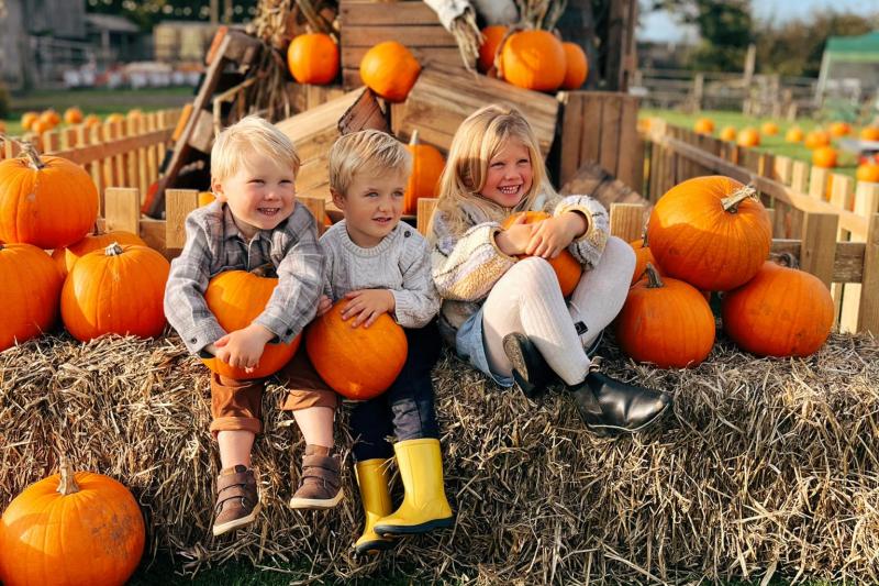 Pumpkin Festival at Pennywell 