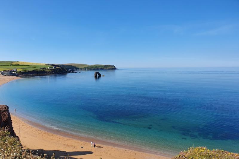 Wild Swimming at Thurlestone